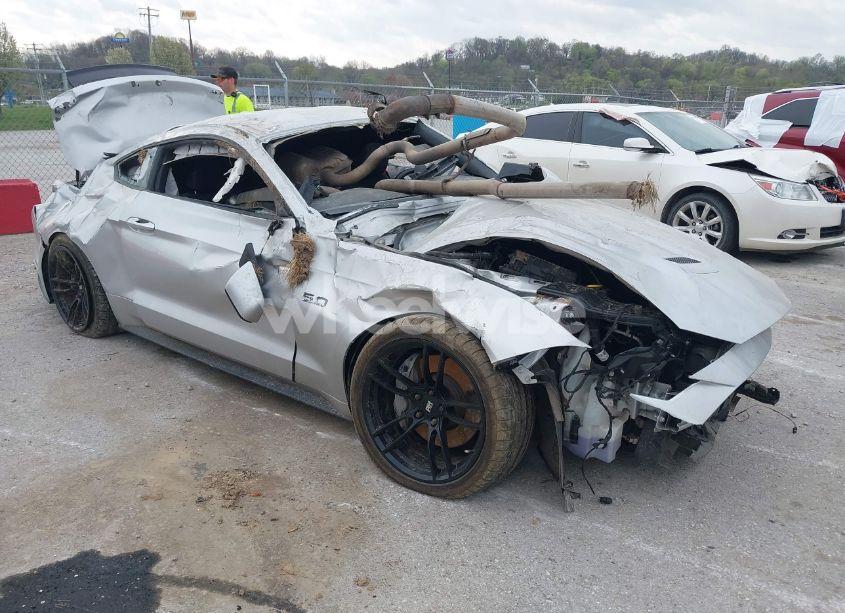 2019 Ford Mustang GT (VIN 1FA6P8CF1K5123449) main photo