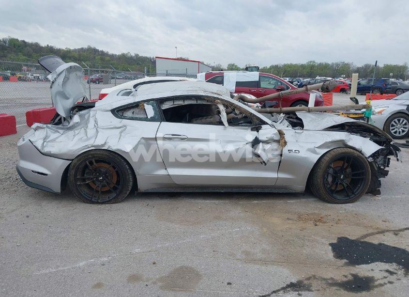 Photo 12 of 2019 Ford Mustang GT (VIN 1FA6P8CF1K5123449)