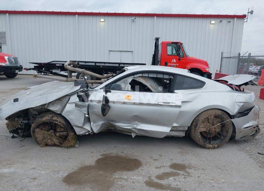 Photo 13 of 2019 Ford Mustang GT (VIN 1FA6P8CF1K5123449)