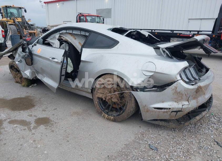 Photo 3 of 2019 Ford Mustang GT (VIN 1FA6P8CF1K5123449)