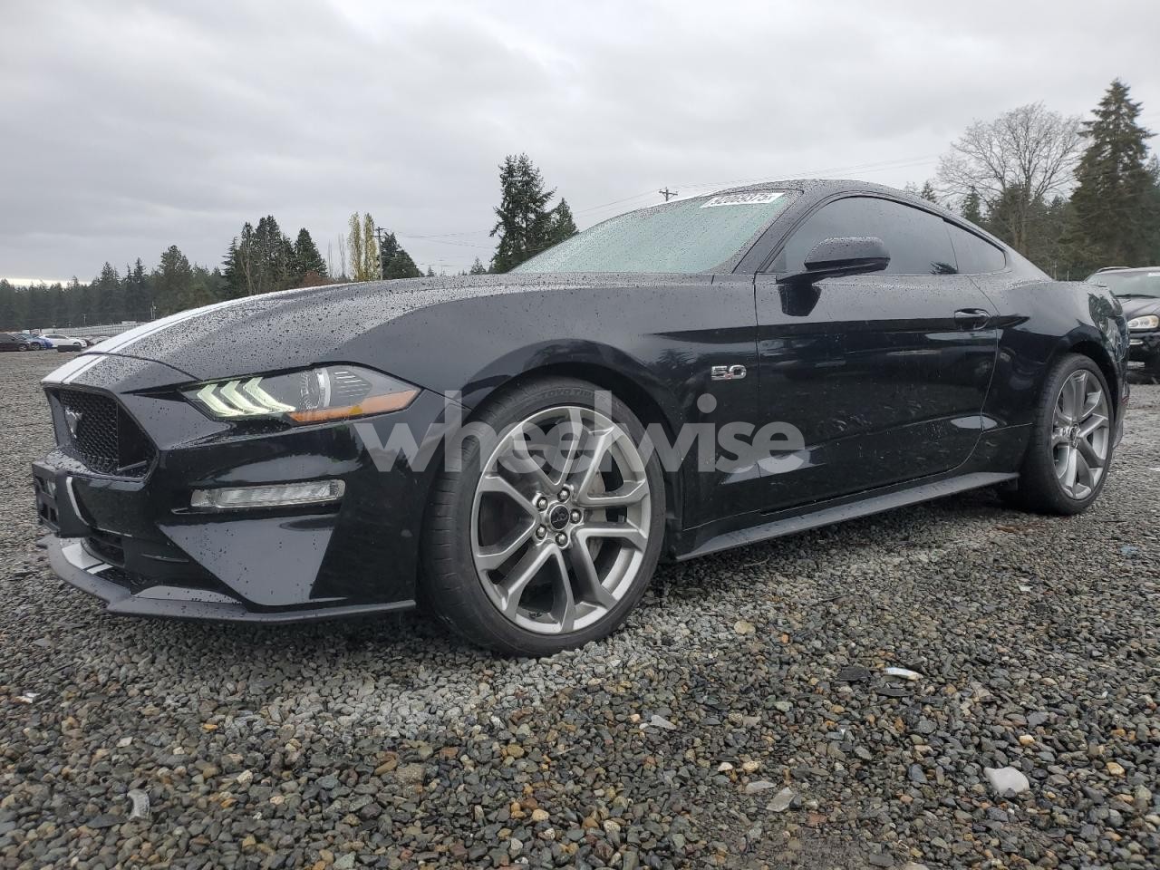 2019 FORD MUSTANG GT (VIN 1FA6P8CF1K5164308) main photo
