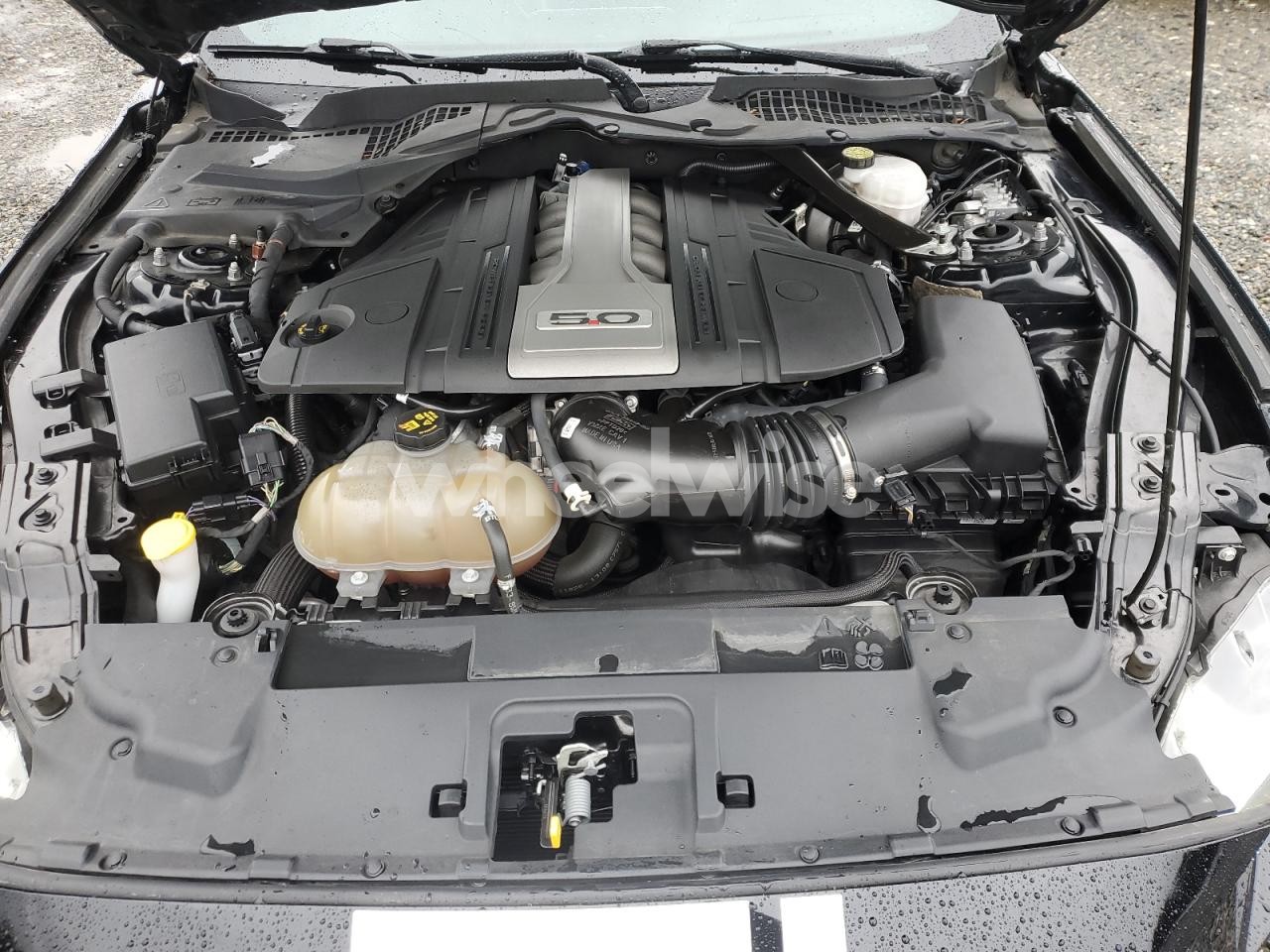 Photo 11 of 2019 FORD MUSTANG GT (VIN 1FA6P8CF1K5164308)