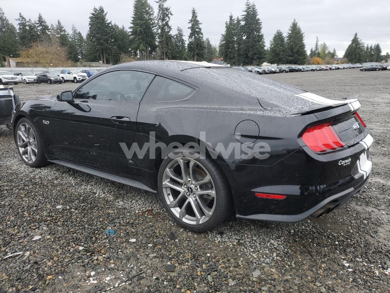 Photo 2 of 2019 FORD MUSTANG GT (VIN 1FA6P8CF1K5164308)