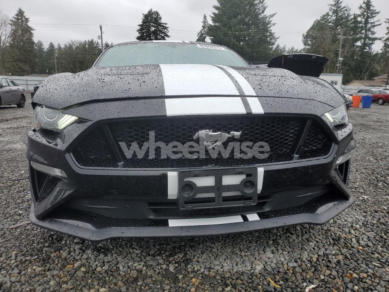 Photo 5 of 2019 FORD MUSTANG GT (VIN 1FA6P8CF1K5164308)