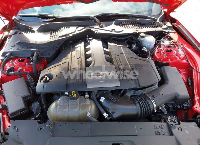 Photo 10 of 2019 Ford Mustang GT (VIN 1FA6P8CF1K5166611)