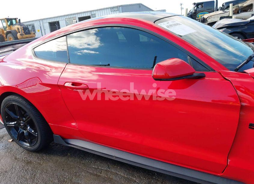 Photo 13 of 2019 Ford Mustang GT (VIN 1FA6P8CF1K5166611)