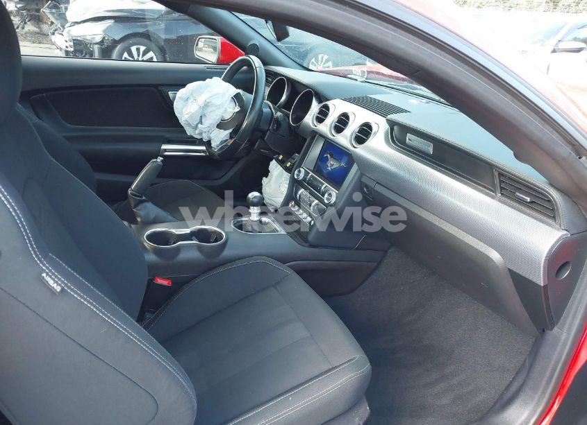 Photo 5 of 2019 Ford Mustang GT (VIN 1FA6P8CF1K5166611)