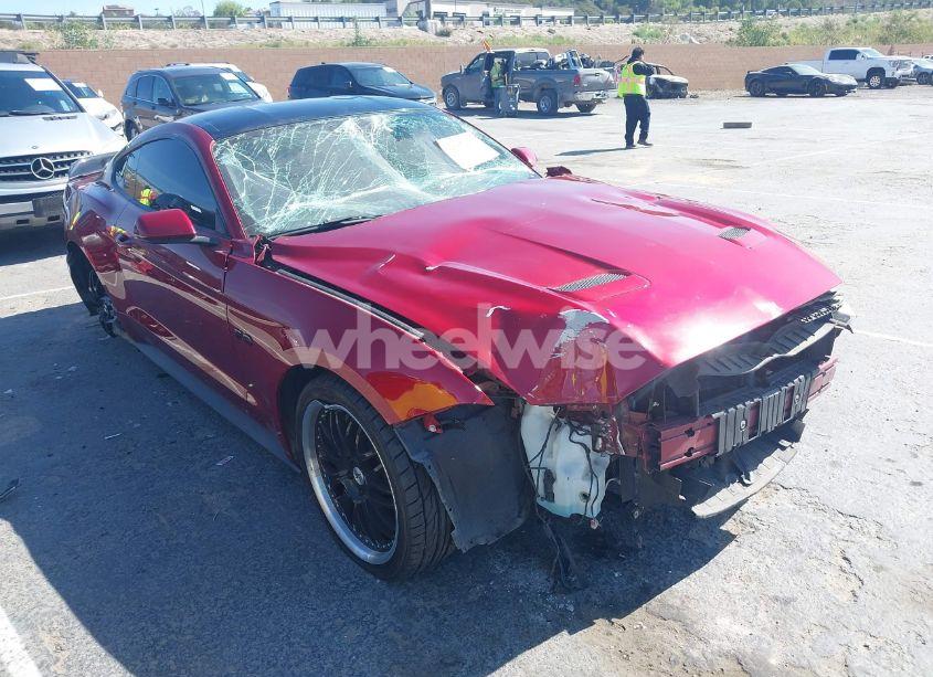 2019 Ford Mustang GT (VIN 1FA6P8CF1K5169685) main photo