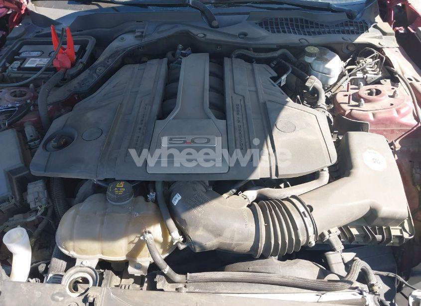 Photo 10 of 2019 Ford Mustang GT (VIN 1FA6P8CF1K5169685)