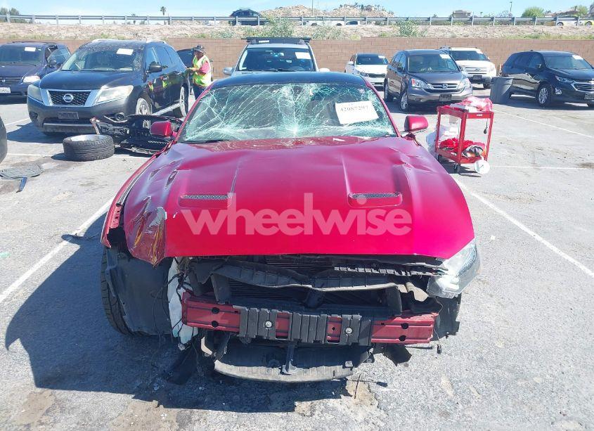 Photo 13 of 2019 Ford Mustang GT (VIN 1FA6P8CF1K5169685)