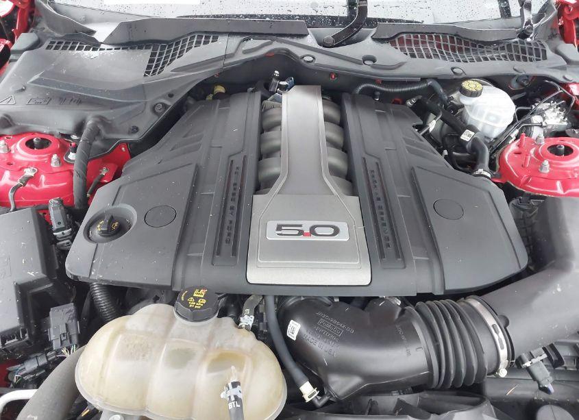 Photo 10 of 2019 Ford Mustang GT (VIN 1FA6P8CF1K5203334)