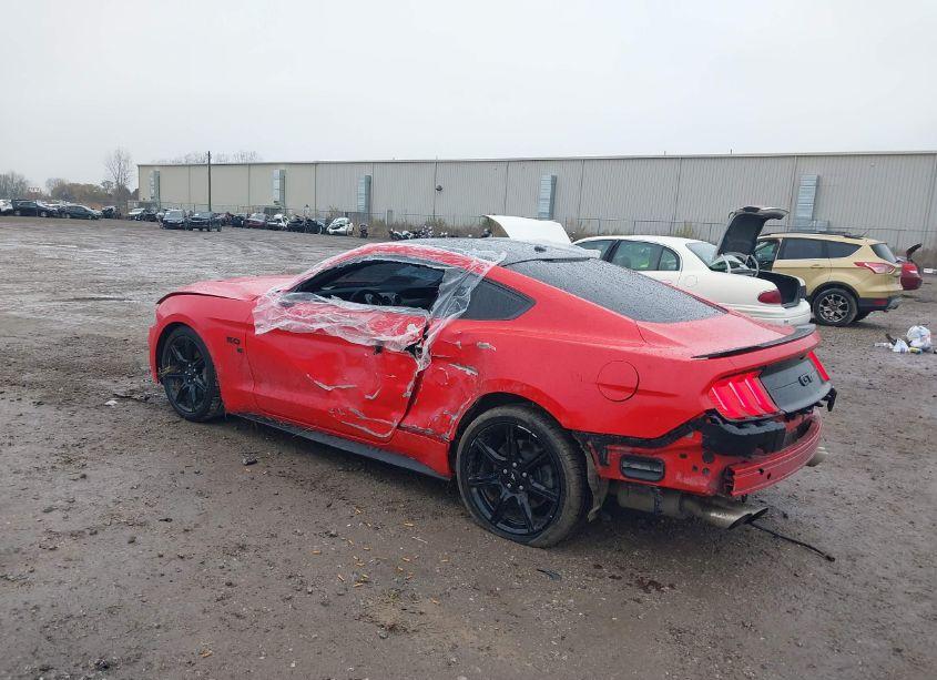 Photo 3 of 2019 Ford Mustang GT (VIN 1FA6P8CF1K5203334)
