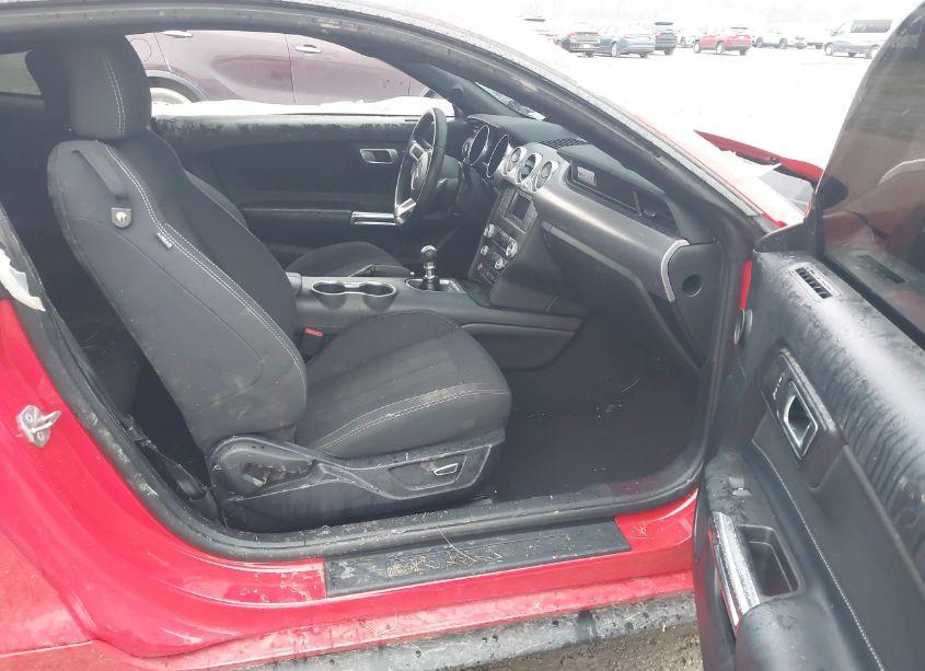 Photo 5 of 2019 Ford Mustang GT (VIN 1FA6P8CF1K5203334)