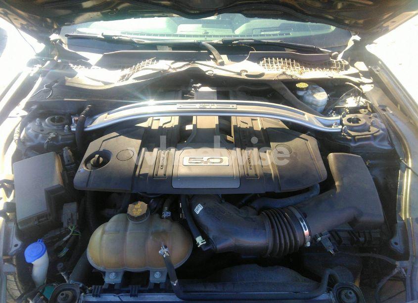 Photo 10 of 2020 Ford Mustang GT PREMIUM FASTBACK (VIN 1FA6P8CF1L5126563)