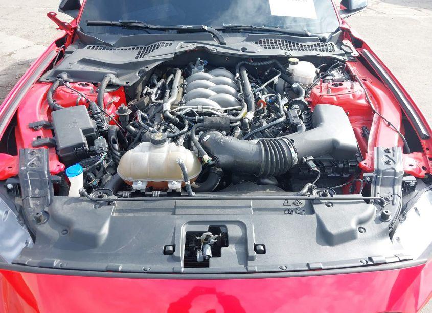 Photo 10 of 2020 Ford Mustang GT (VIN 1FA6P8CF1L5187119)