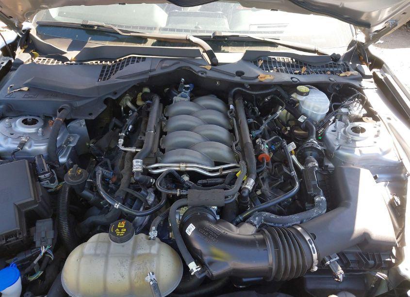 Photo 10 of 2020 Ford Mustang GT (VIN 1FA6P8CF1L5191381)