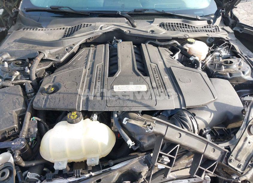 Photo 10 of 2021 Ford Mustang GT PREMIUM FASTBACK (VIN 1FA6P8CF1M5137340)