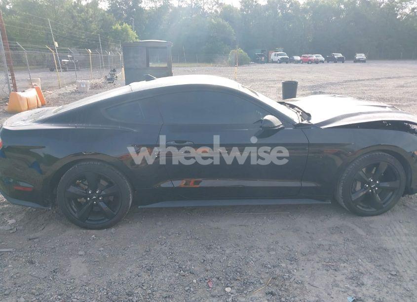 Photo 13 of 2021 Ford Mustang GT PREMIUM FASTBACK (VIN 1FA6P8CF1M5137340)