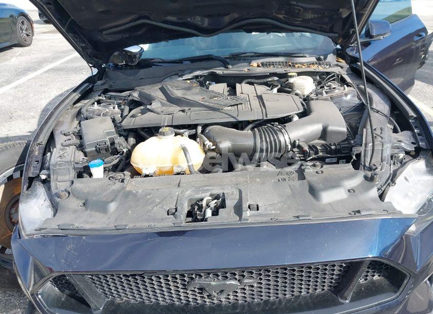 Photo 10 of 2021 Ford Mustang GT PREMIUM FASTBACK (VIN 1FA6P8CF1M5138567)