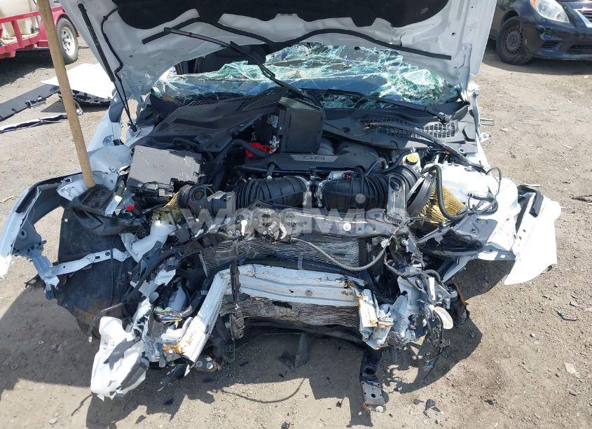 Photo 10 of 2024 Ford Mustang GT FASTBACK (VIN 1FA6P8CF1R5428122)