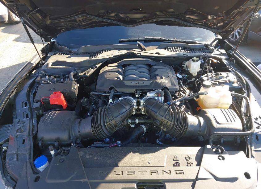 Photo 10 of 2024 Ford Mustang GT PREMIUM (VIN 1FA6P8CF1R5431280)