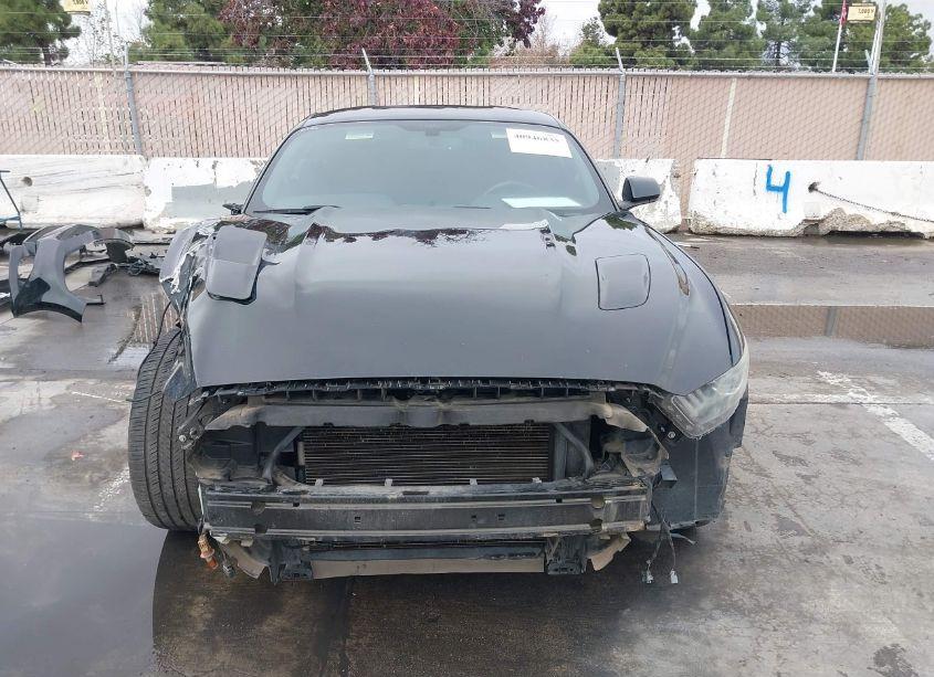 Photo 13 of 2017 Ford Mustang GT (VIN 1FA6P8CF2H5250347)