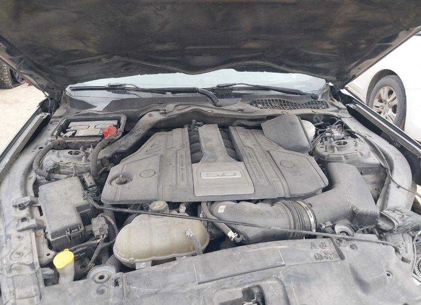 Photo 10 of 2018 Ford Mustang GT (VIN 1FA6P8CF2J5122549)