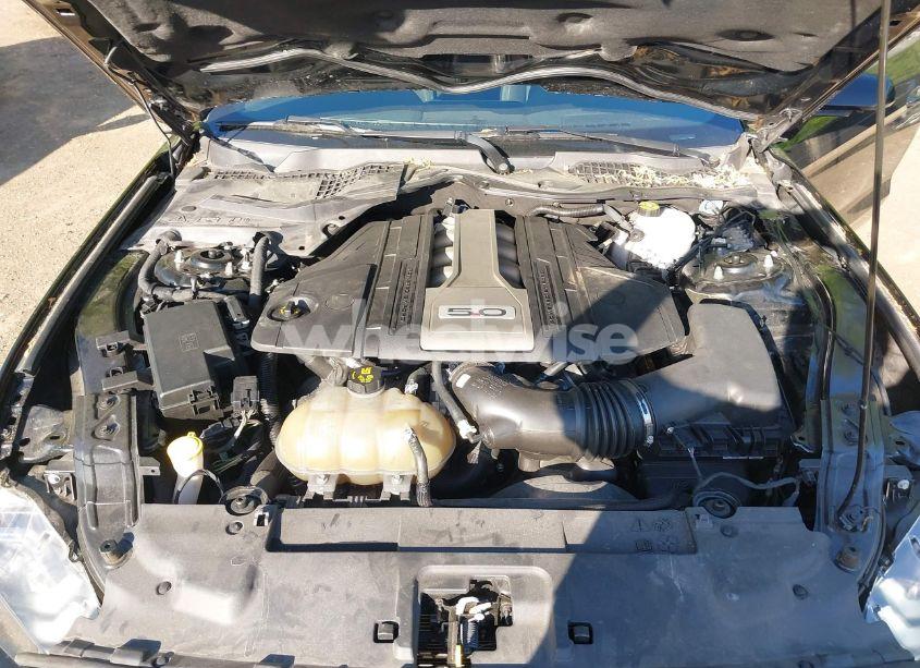 Photo 10 of 2019 Ford Mustang GT (VIN 1FA6P8CF2K5108720)