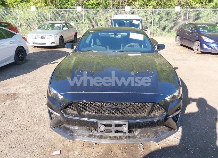 Photo 12 of 2019 Ford Mustang GT (VIN 1FA6P8CF2K5108720)