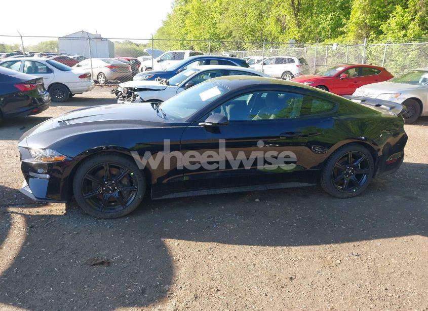Photo 14 of 2019 Ford Mustang GT (VIN 1FA6P8CF2K5108720)