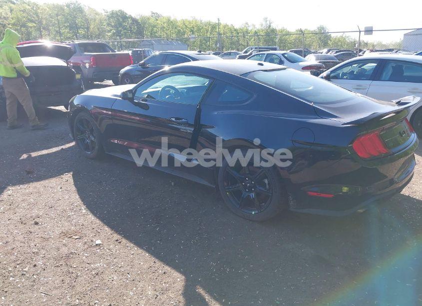 Photo 3 of 2019 Ford Mustang GT (VIN 1FA6P8CF2K5108720)