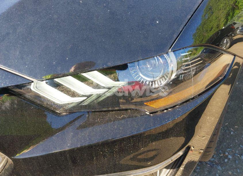 Photo 6 of 2019 Ford Mustang GT (VIN 1FA6P8CF2K5108720)