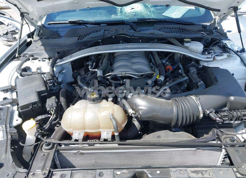 Photo 10 of 2019 Ford Mustang GT (VIN 1FA6P8CF2K5169663)