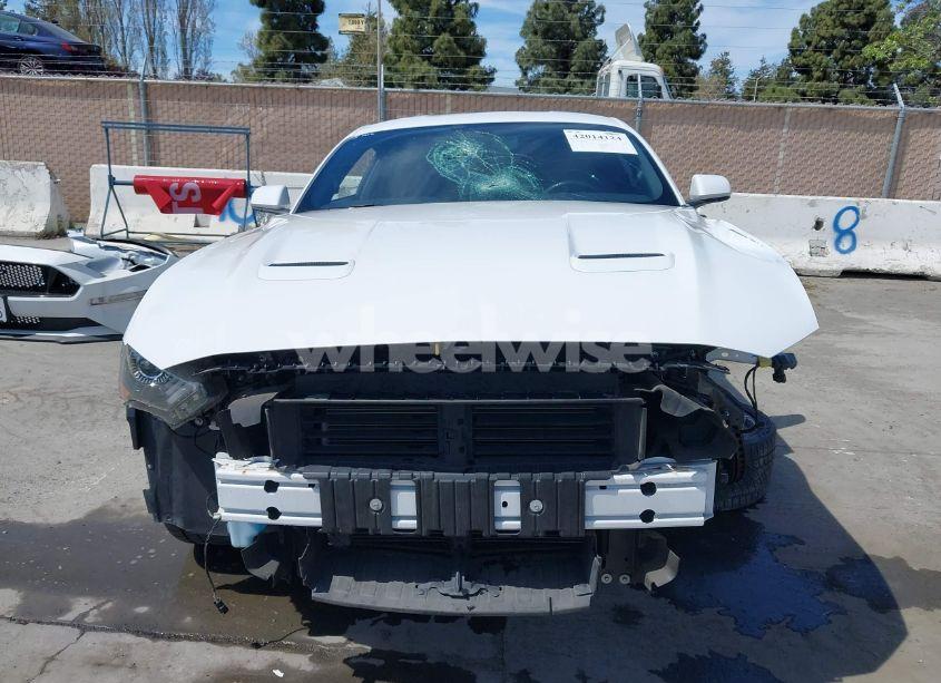Photo 12 of 2019 Ford Mustang GT (VIN 1FA6P8CF2K5169663)