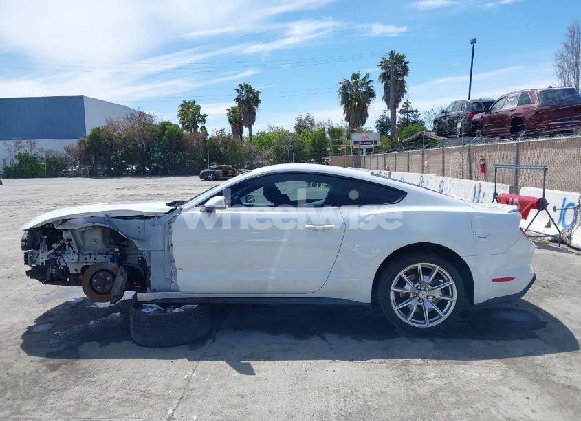 Photo 14 of 2019 Ford Mustang GT (VIN 1FA6P8CF2K5169663)