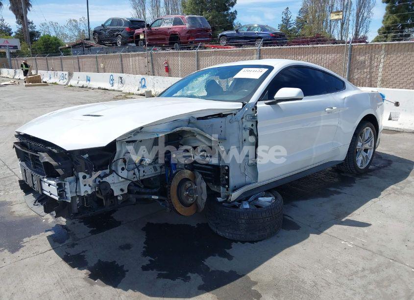 Photo 2 of 2019 Ford Mustang GT (VIN 1FA6P8CF2K5169663)