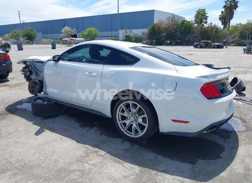 Photo 3 of 2019 Ford Mustang GT (VIN 1FA6P8CF2K5169663)