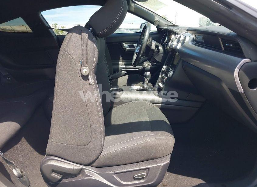 Photo 5 of 2019 Ford Mustang GT (VIN 1FA6P8CF2K5169663)