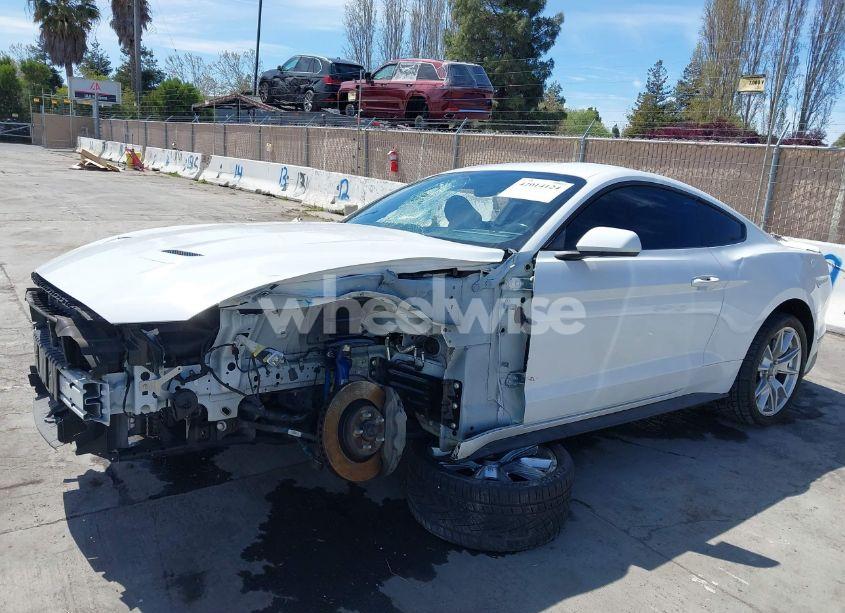 Photo 6 of 2019 Ford Mustang GT (VIN 1FA6P8CF2K5169663)