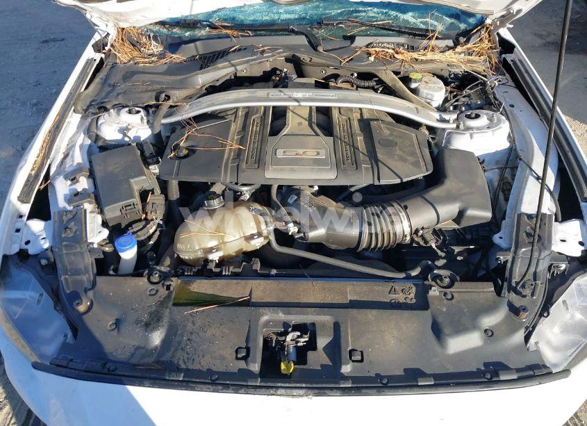 Photo 10 of 2020 Ford Mustang GT PREMIUM (VIN 1FA6P8CF2L5168448)