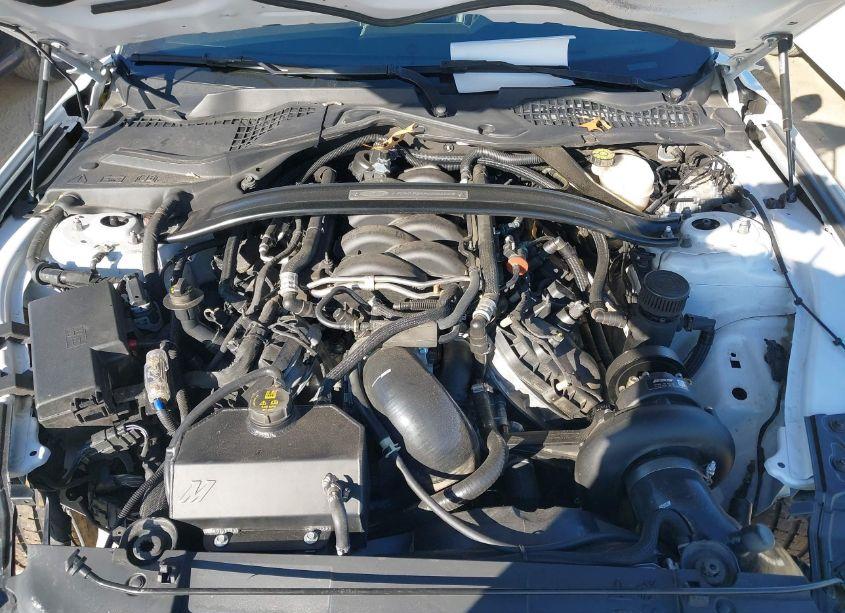 Photo 10 of 2021 Ford Mustang GT PREMIUM (VIN 1FA6P8CF2M5152137)