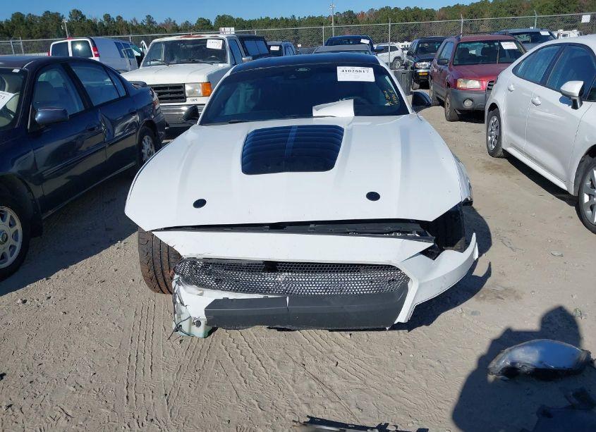 Photo 13 of 2021 Ford Mustang GT PREMIUM (VIN 1FA6P8CF2M5152137)