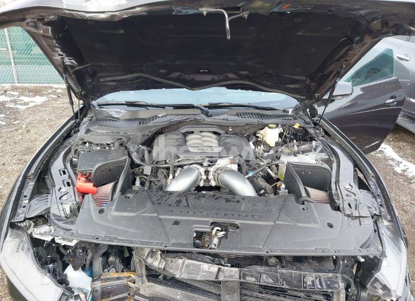 Photo 10 of 2024 Ford Mustang GT FASTBACK (VIN 1FA6P8CF2R5409112)