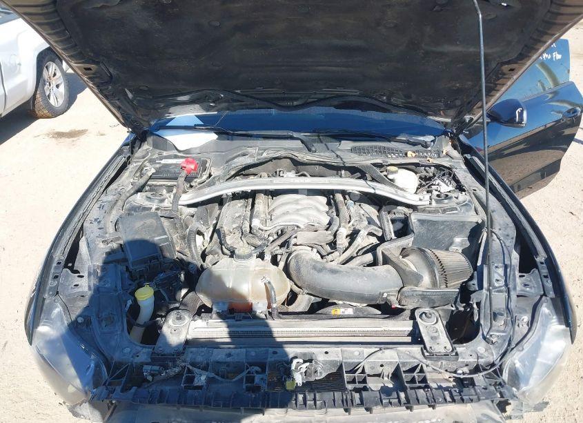 Photo 10 of 2017 Ford Mustang GT PREMIUM (VIN 1FA6P8CF3H5203019)