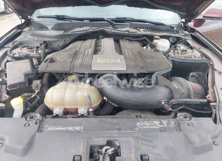 Photo 10 of 2018 Ford Mustang GT PREMIUM (VIN 1FA6P8CF3J5165619)