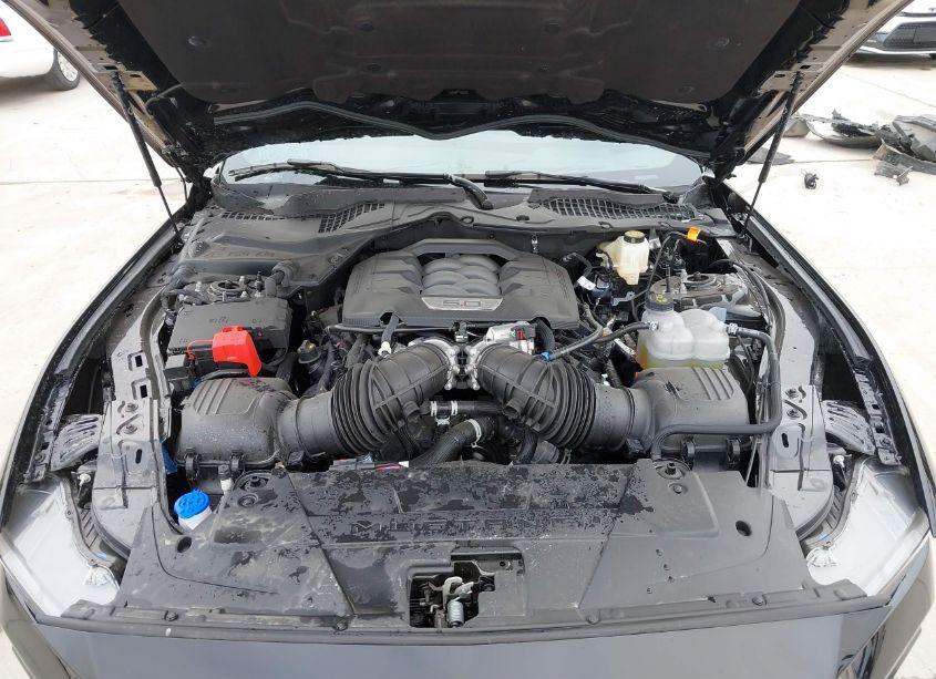 Photo 10 of 2024 Ford Mustang GT PREMIUM (VIN 1FA6P8CF3R5428669)