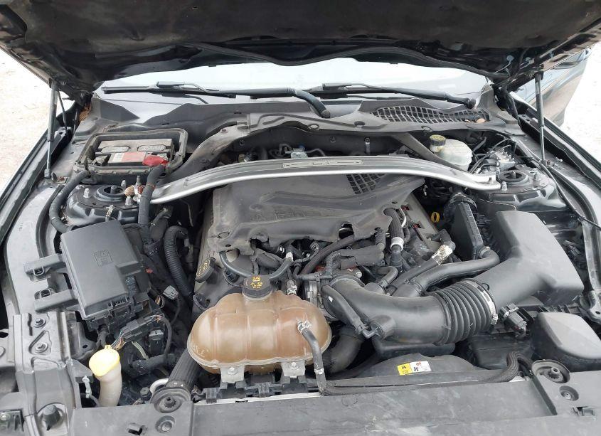 Photo 10 of 2016 Ford Mustang GT (VIN 1FA6P8CF4G5236951)