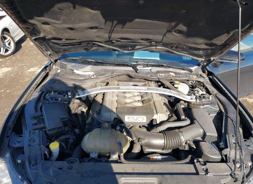 Photo 10 of 2017 Ford Mustang GT PREMIUM (VIN 1FA6P8CF4H5262581)