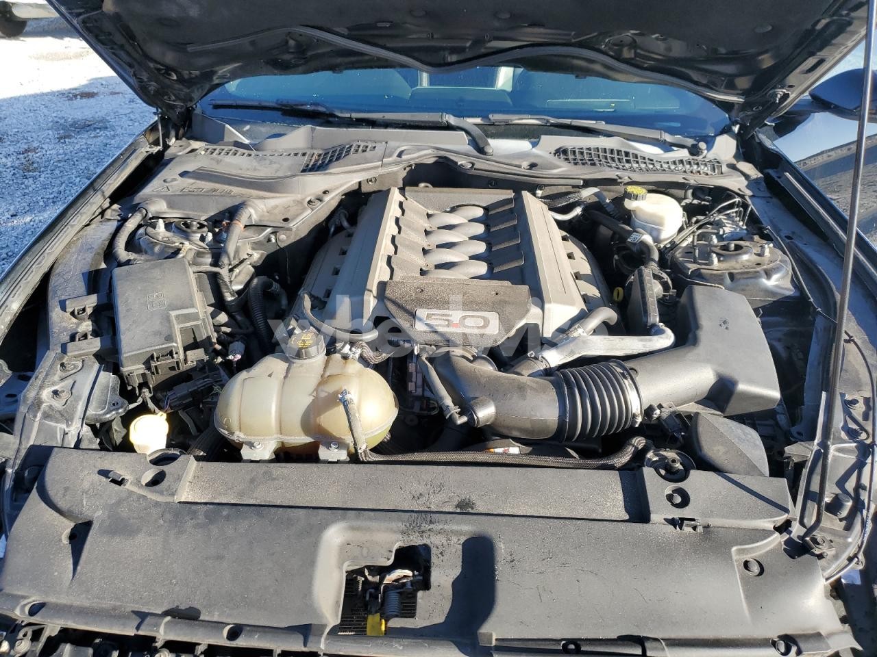 Photo 11 of 2017 FORD MUSTANG GT (VIN 1FA6P8CF4H5289859)