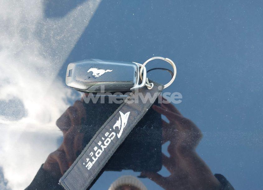 Photo 11 of 2017 Ford Mustang GT (VIN 1FA6P8CF4H5303064)